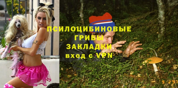 меф Алексин