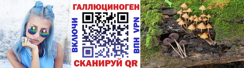 что такое наркотик MEGA tor нарко площадка телеграм Арсеньев Галлюциногенные грибы ЛСД